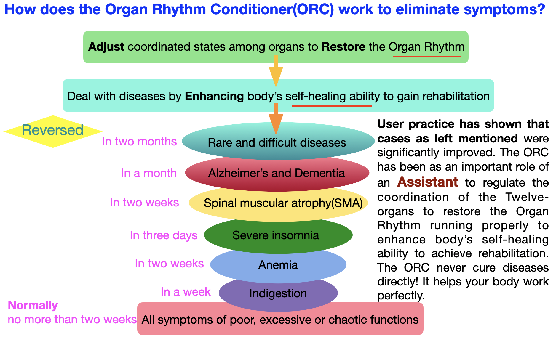 Organ Rhythm Conditioner